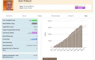 Final NaNoWriMo 2015 Stats