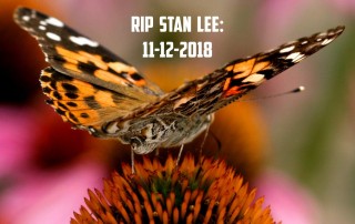 Fans mourn the loss of Marvel comics legend Stan Lee